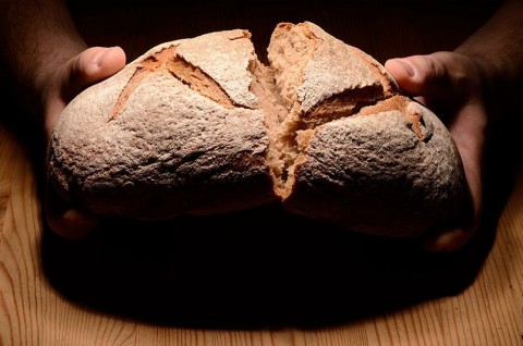 每週聖言　甲年 復活期第三主日