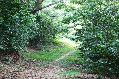 每週聖言　甲年 復活期第五主日